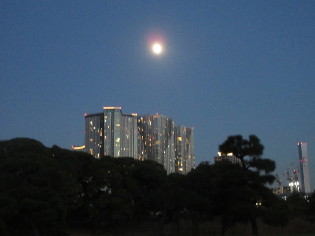 在留　経営・管理ビザ